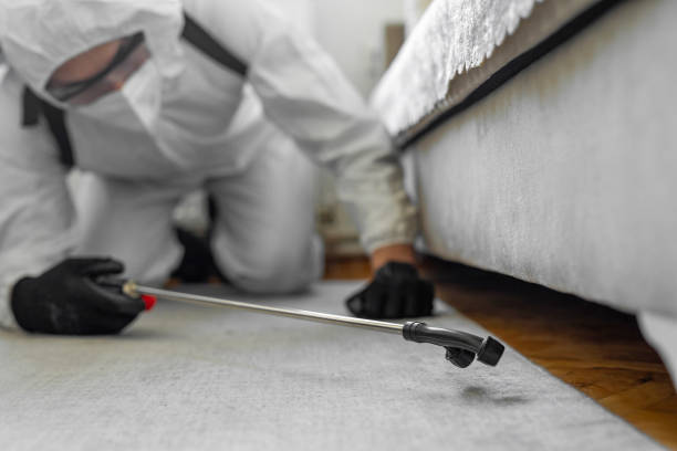 Professional Cockroach Control technician working in Crane, TX